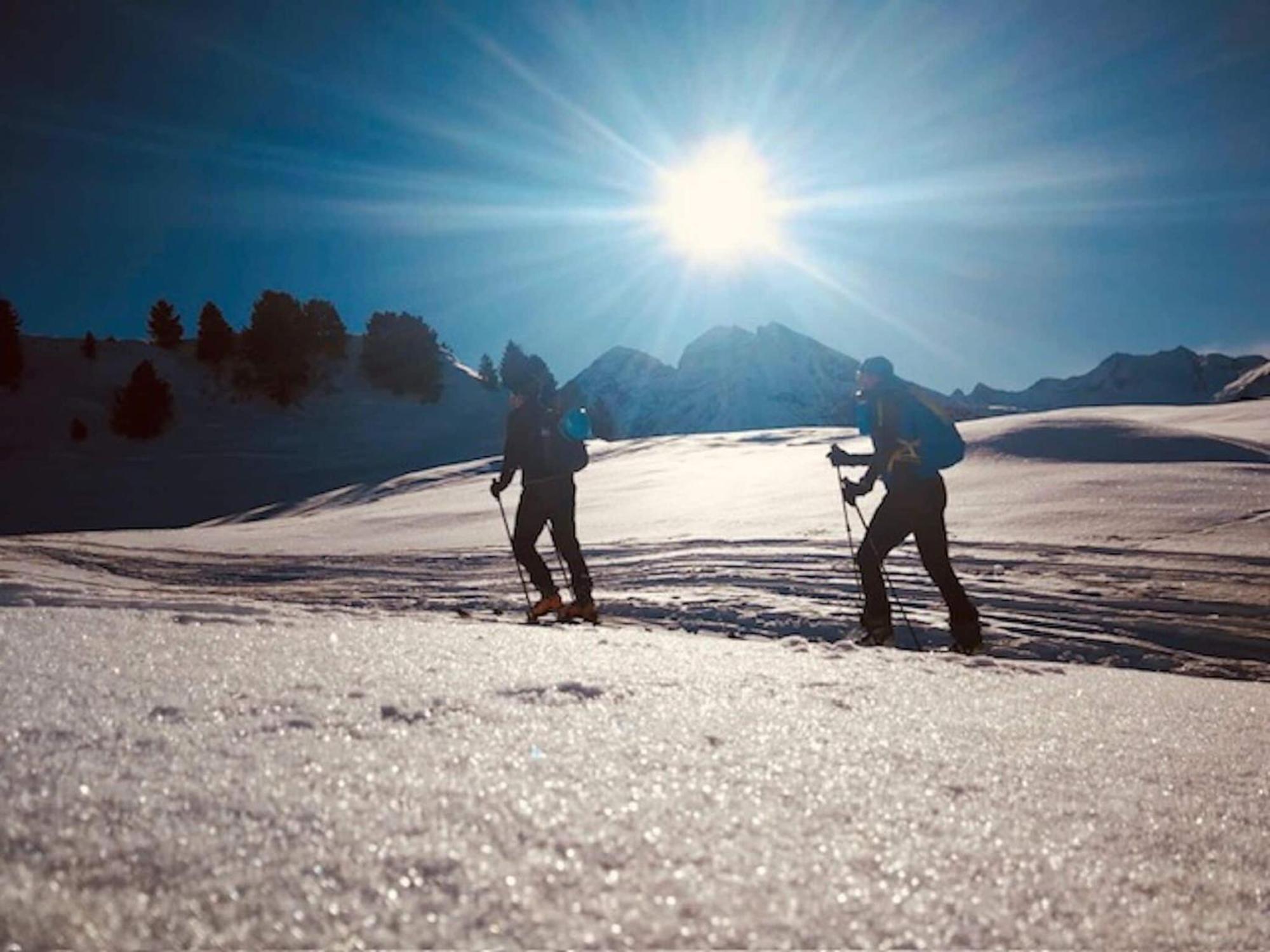 Appartamento Flat South Of Kitzb Hel With Nationalparkcard Hollersbach im Pinzgau Esterno foto